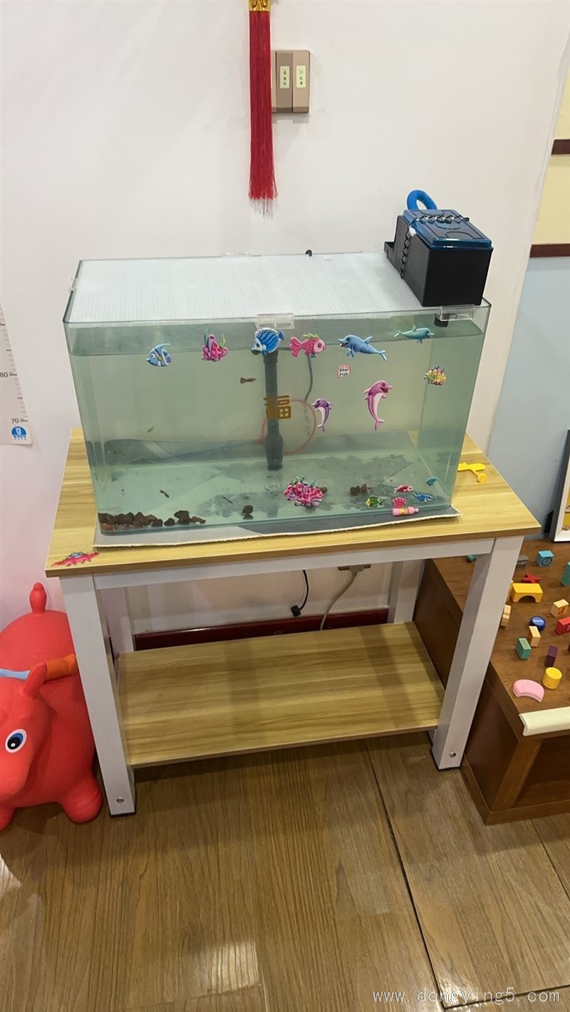 魚缸