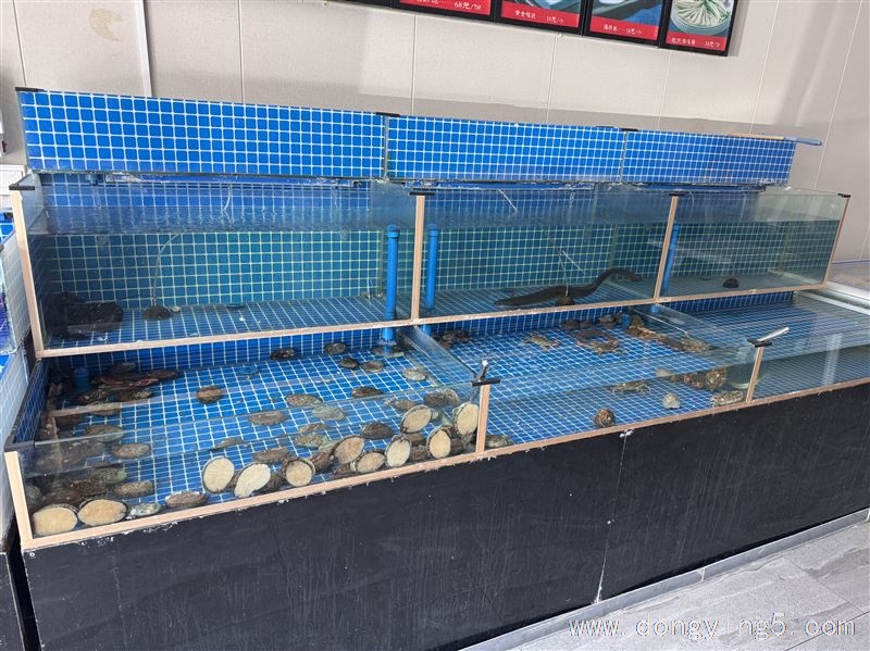 酒店海養(yǎng)魚缸出售